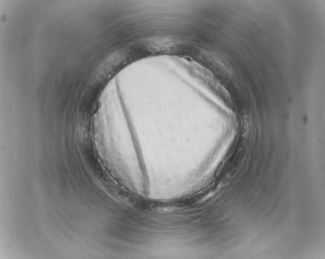 X0000070420408200607072339