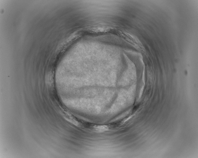 X0000070420409200607072339