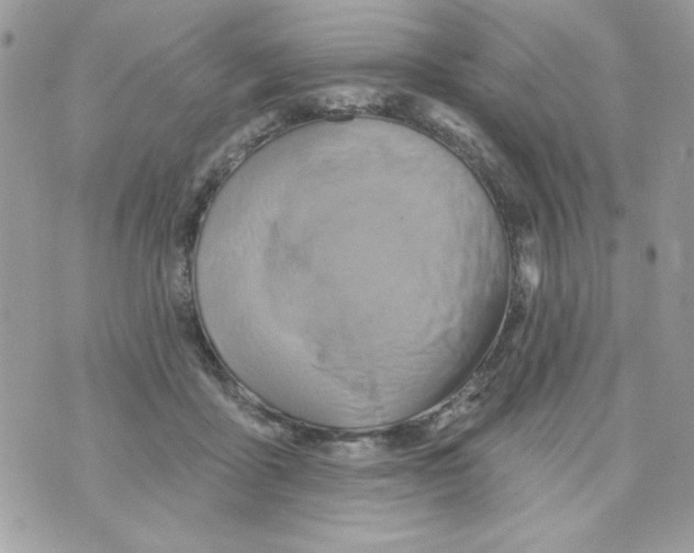 X0000070420411200607072339