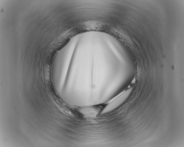 X0000070420413200607072339