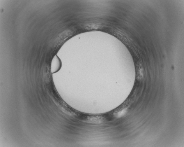 X0000070420414200607072339