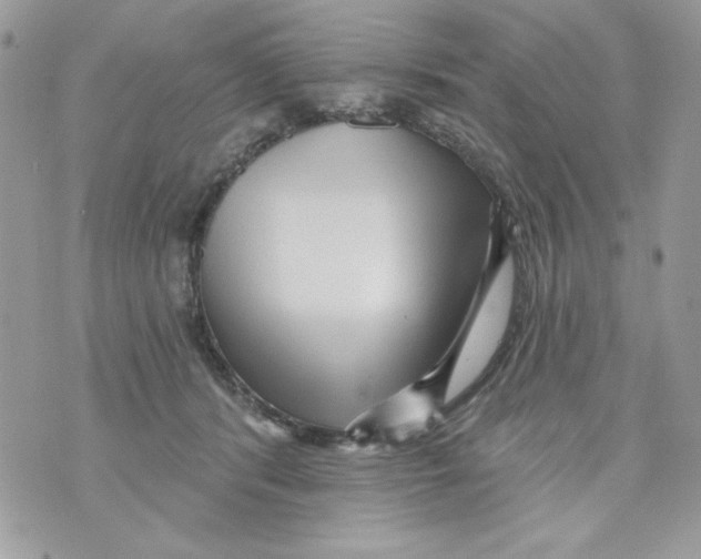 X0000070420416200607072339