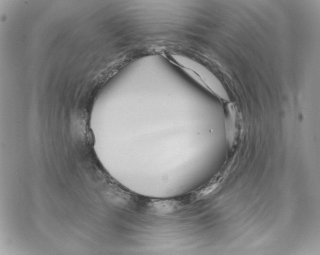 X0000070420417200607072339