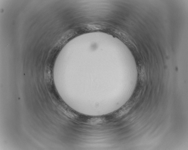 X0000070420418200607072339