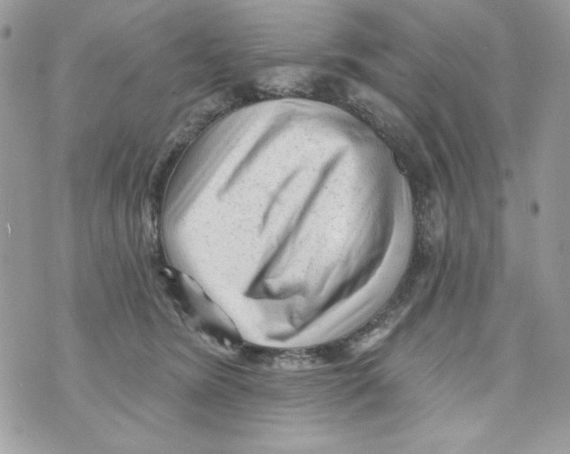 X0000070420420200607072339