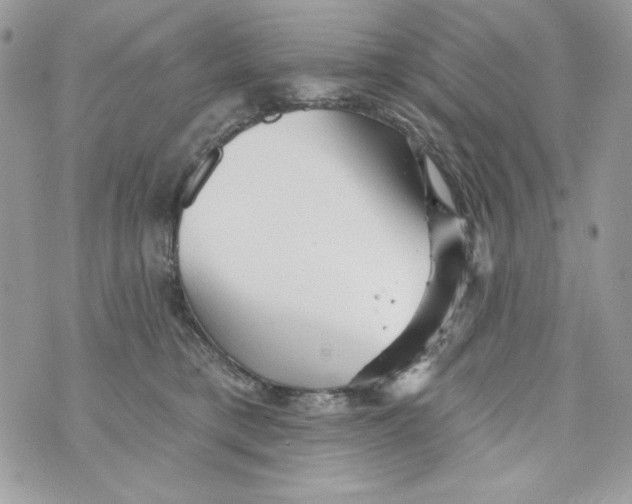 X0000070420421200607072339