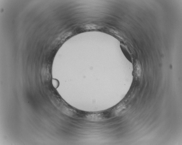 X0000070420422200607072339