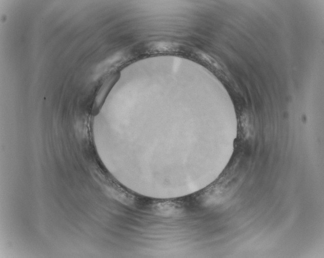 X0000070420423200607072339