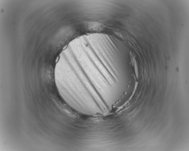 X0000070420424200607072339