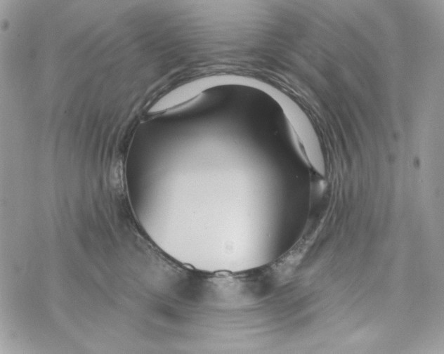 X0000070420425200607072339