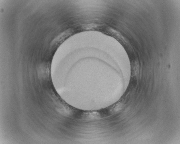 X0000070420427200607072339