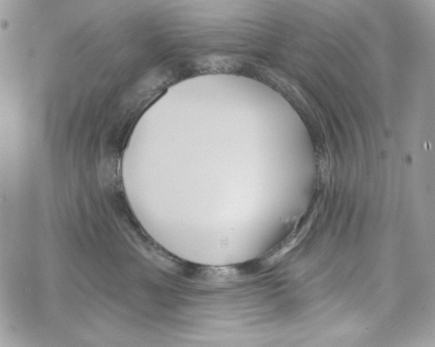 X0000070420429200607072339