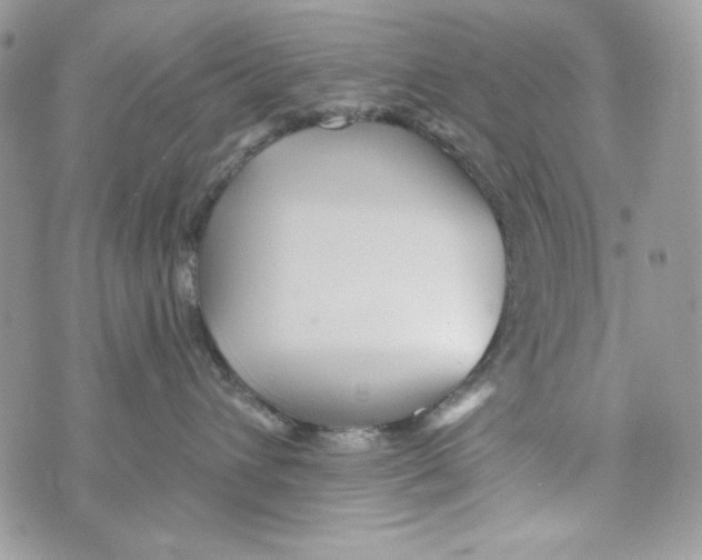 X0000070420432200607072339