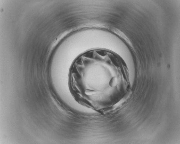 X0000070420436200607072338