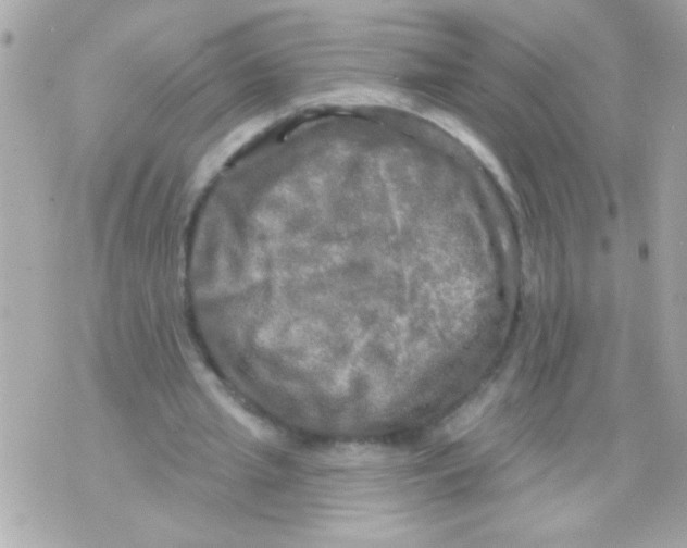 X0000070420437200607072338