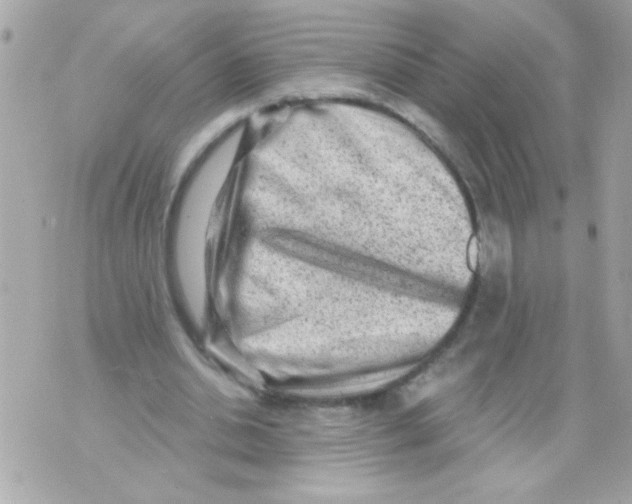 X0000070420438200607072338