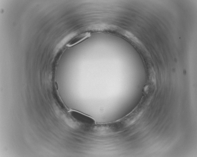 X0000070420440200607072338