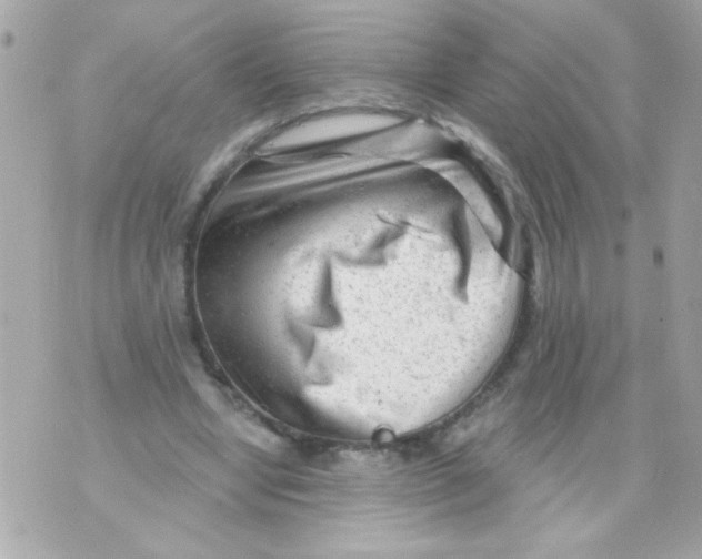 X0000070420442200607072338