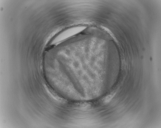 X0000070420443200607072338