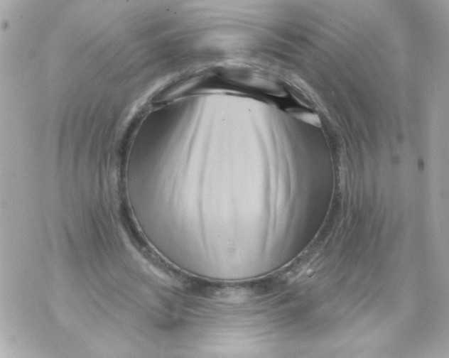 X0000070420444200607072338