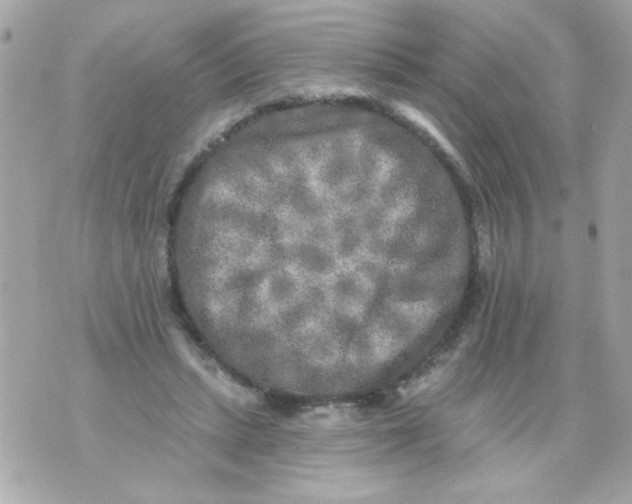 X0000070420447200607072338