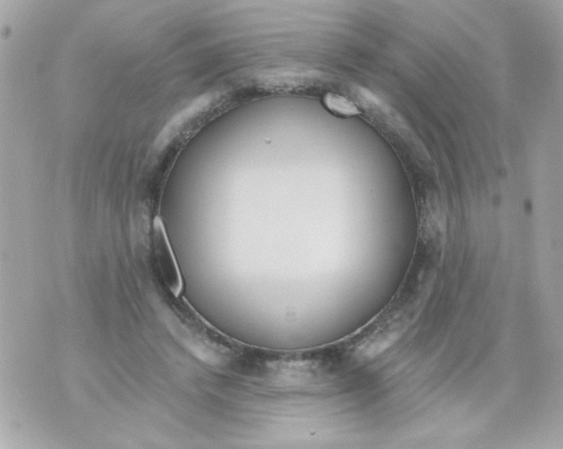 X0000070420448200607072338