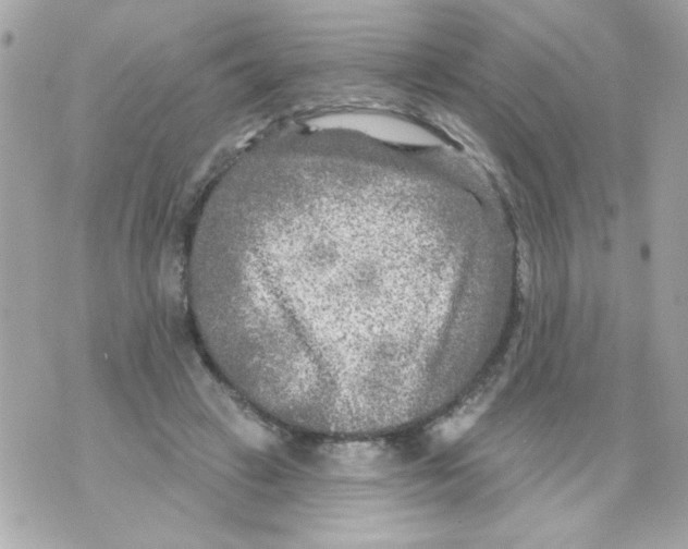 X0000070420449200607072338