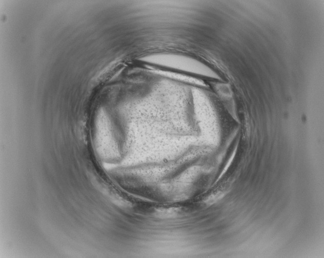 X0000070420450200607072338