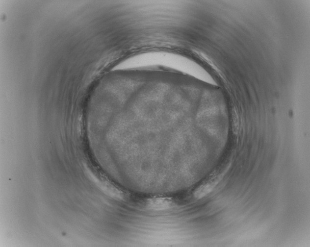 X0000070420451200607072338