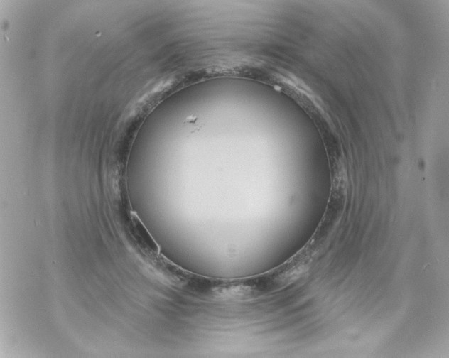 X0000070420452200607072338