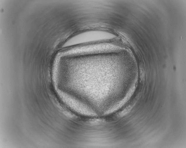 X0000070420453200607072338