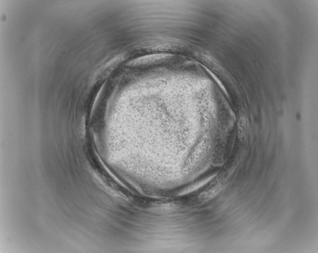 X0000070420454200607072338