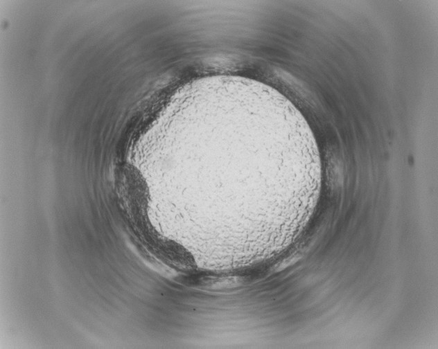 X0000070420459200607072339