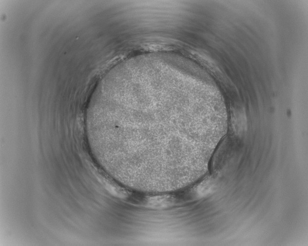 X0000070420461200607072339