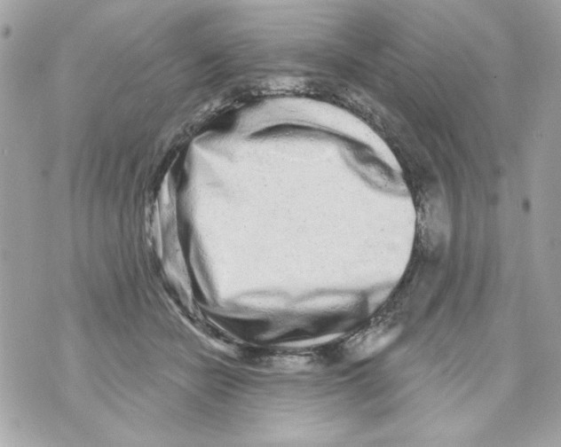 X0000070420462200607072339