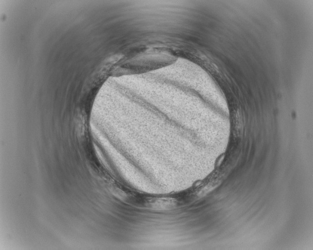 X0000070420463200607072339