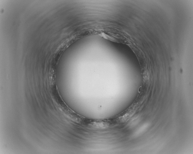 X0000070420464200607072339