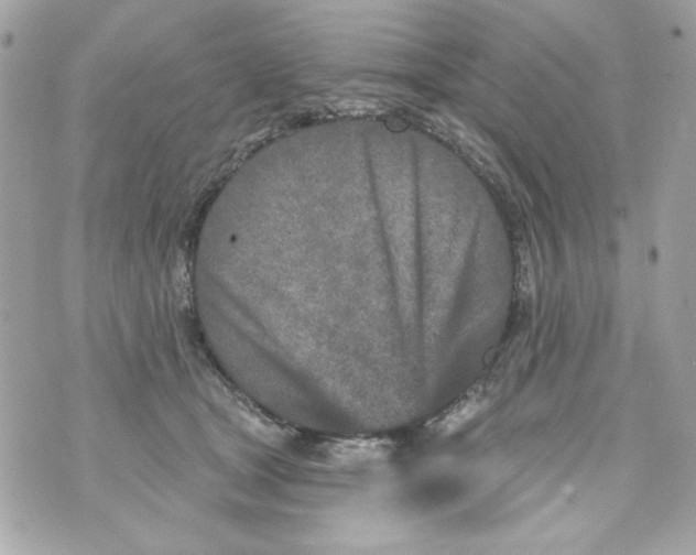 X0000070420465200607072339