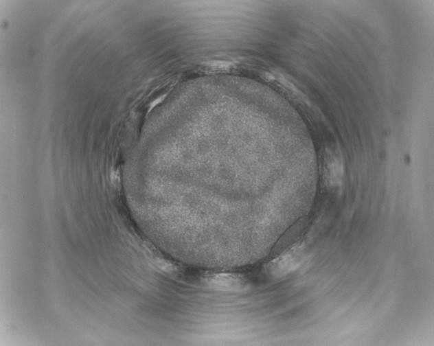 X0000070420467200607072339