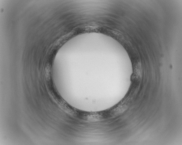 X0000070420468200607072339