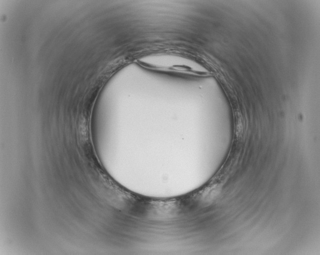 X0000070420469200607072339