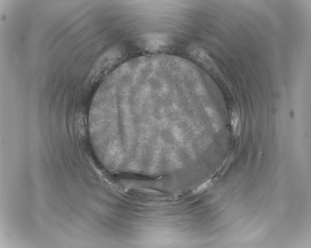 X0000070420470200607072339