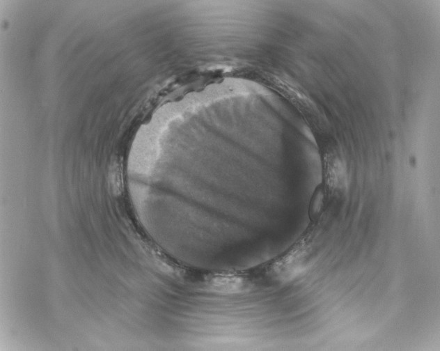 X0000070420471200607072339