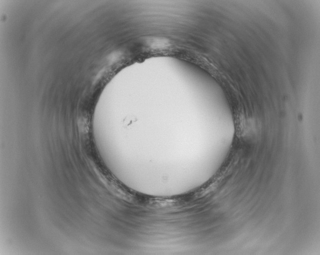 X0000070420472200607072339