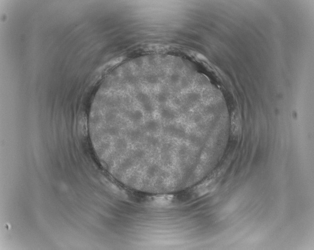 X0000070420474200607072339