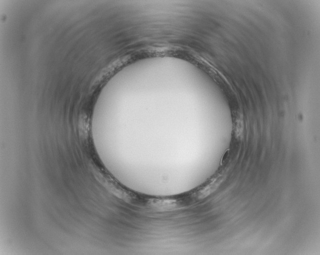 X0000070420476200607072339