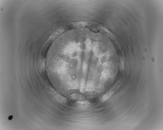 X0000070420477200607072339