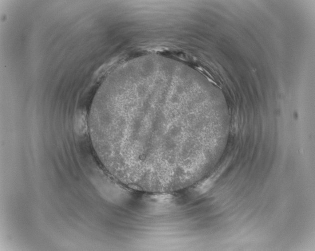 X0000070420478200607072339