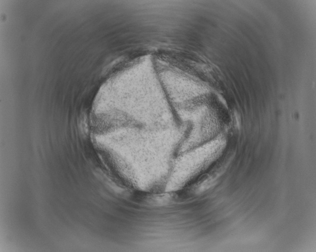 X0000070420479200607072339