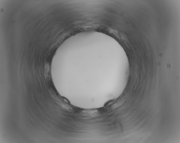 X0000070420480200607072339